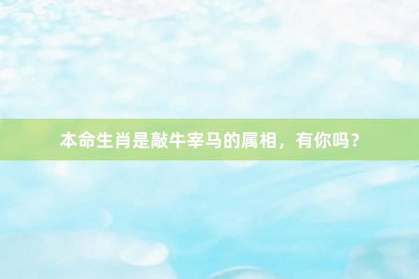 本命生肖是敲牛宰马的属相，有你吗？