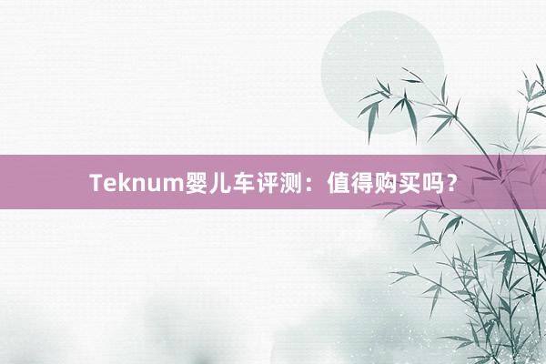Teknum婴儿车评测：值得购买吗？